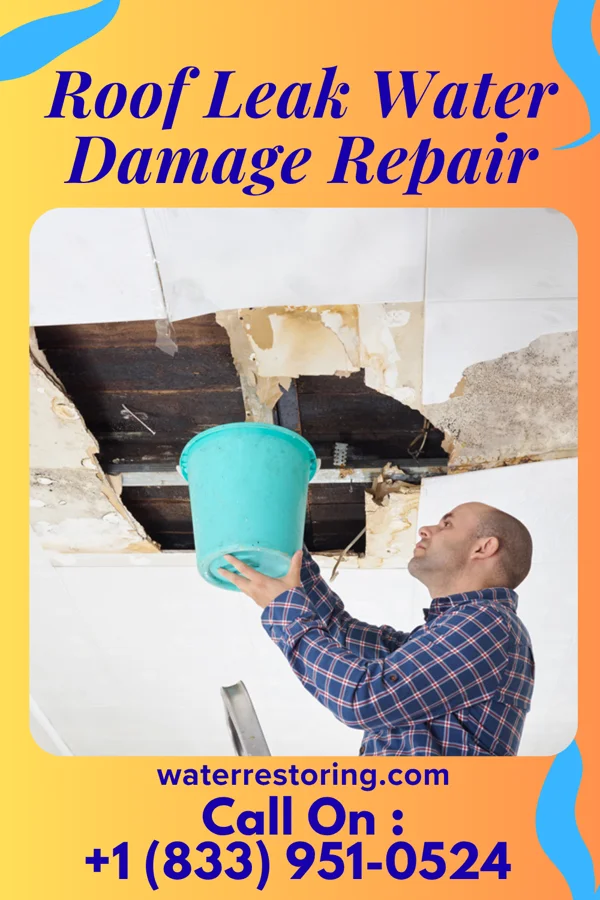 Roof Leak Water Damage Repair in Woden, IA