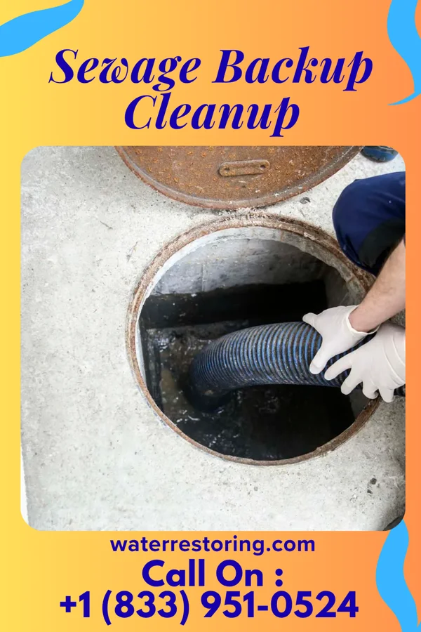 Sewage Backup Cleanup in Woden, IA
